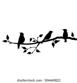vector silhouettes of birds at tree, hand drawn waxwings at branch of wild apple tree, isolated vector element