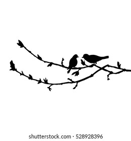 vector silhouettes of birds at tree, hand drawn songbirds at branch, Valentine symbol, a pair of lovers, isolated vector element