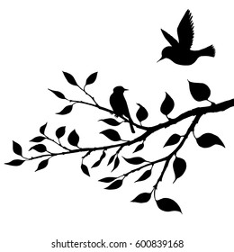 vector silhouettes of birds at tree, hand drawn songbirds at branch, isolated vector element