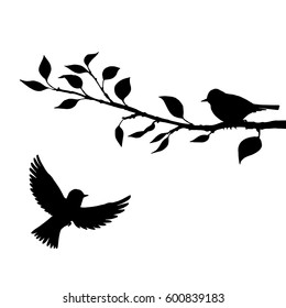 vector silhouettes of birds at tree, hand drawn songbirds at branch, isolated vector element