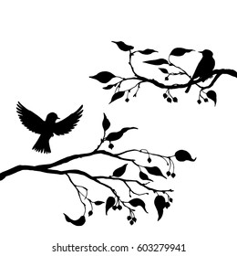 14,760 Hummingbird silhouette Images, Stock Photos & Vectors | Shutterstock