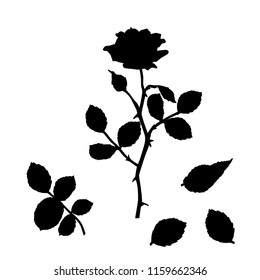 Vector silhouettes of the branch of rose with leaves and flower, black color, isolated on white background