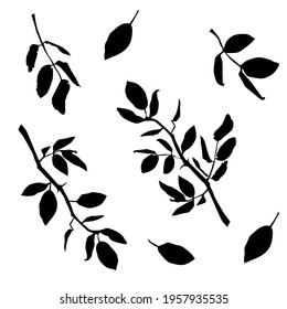 Vector silhouettes of the branch of trees, with leaves, black color, isolated on white background