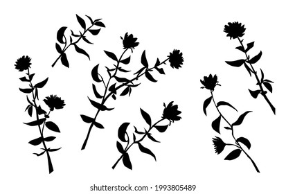 Siluetas vectoriales de la rama de los árboles, con hojas, flores, color negro, aisladas en fondo blanco