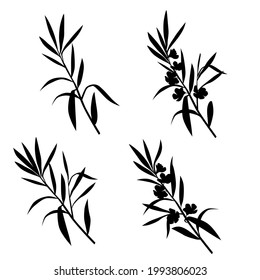 Vector silhouettes of the branch of trees, with leaves, flowers oleander, black color, isolated on white background