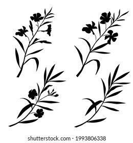 Vector silhouettes of the branch of trees, with leaves, flowers oleander, black color, isolated on white background