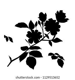 Vector silhouettes of the branches of Apple or cherry trees with flowers, black color, isolated on white background