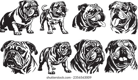 Vector silhouettes of the British Bulldog breed