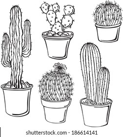 vector silhouettes of cacti 