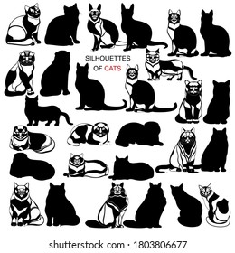 Vector silhouettes of cats on white background. Black and white cats.