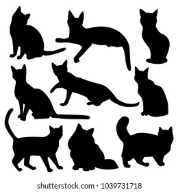 Vector silhouettes cats and short   long hair isolated white background 