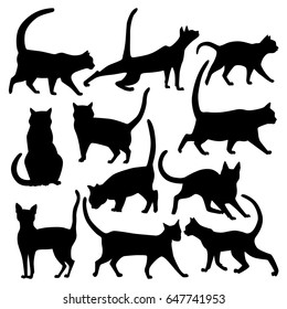 Vector silhouettes of cats in various poses isolated on white background