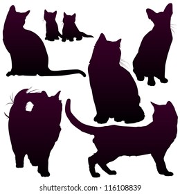 Vector silhouettes of cats for your design