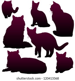 Vector silhouettes of cats for your design