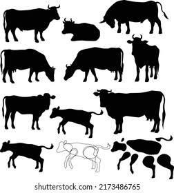 Vector silhouettes of caws, baby cows and bulls in different poses, assembled from separate parts