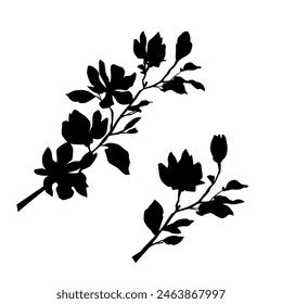 Vector silhouettes of cherry or apple tree branches, with leaves, flowers, black color, isolated on a white background