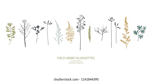 Vector silhouettes collection. Set of field flowers, herbs.