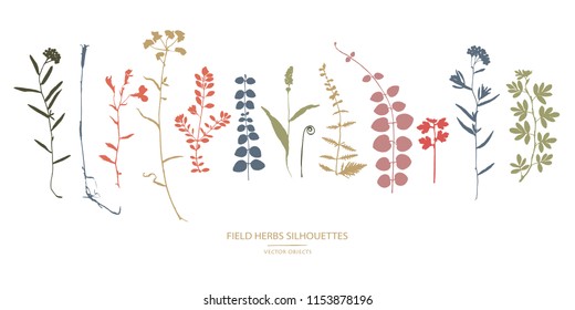 Vector silhouettes collection. Set of field herbs, flowers.