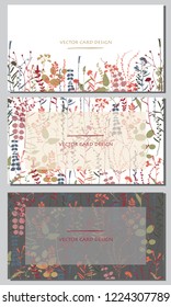 Vector silhouettes collection. Set of field herbs, flowers. Set of visiting card design.