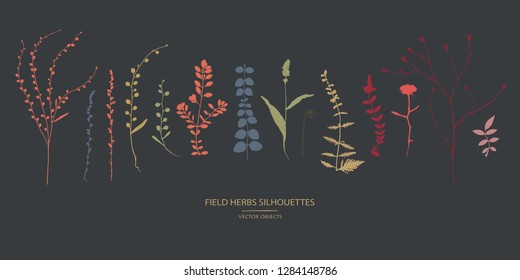 Vector silhouettes collection. Set of field flowers, herbs.