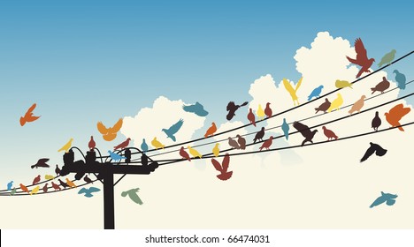 Vector silhouettes of colorful birds roosting on telegraph wires