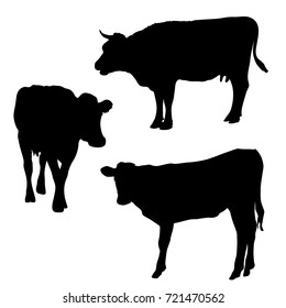 Vector silhouettes of cows, different poses, black color, isolated on white background