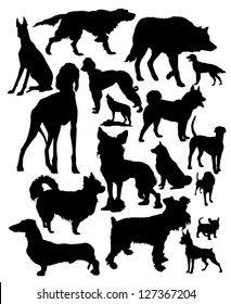 vector silhouettes of different dog breeds