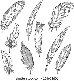 Vector Silhouettes Different Feathers Stock Vector (Royalty Free ...