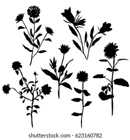 Vector silhouettes of different kinds of flowers, rose, harebell, sunflower, chamomile, cornflower, black color, isolated on white background