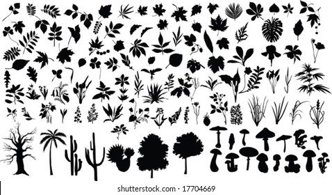 Vector silhouettes of different leaves, trees, bushes, flowers, herbs and mushrooms