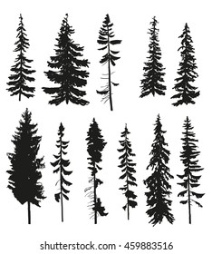 Vector silhouettes of different pine trees.