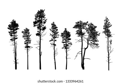 Similar Images, Stock Photos & Vectors of illustration with pine