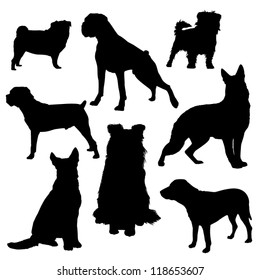 Vector silhouettes of dogs of different breeds isolated on a white background/Dog