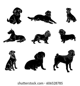 Vector silhouettes of dogs of different breeds