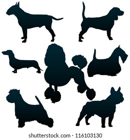 Vector silhouettes of dogs for your design