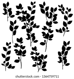 vector silhouettes drawing branches of breaking buckthorn with leaves, hand drawn illustration