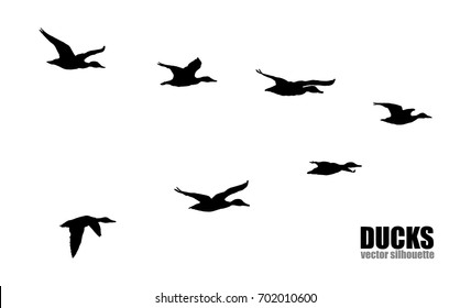 Vector silhouettes of ducks