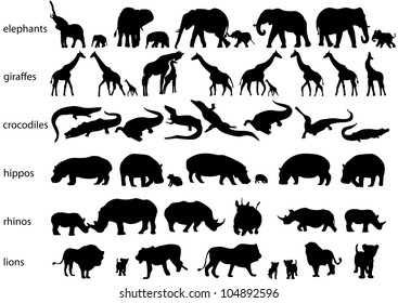 Download Jungle Animal Silhouettes High Res Stock Images Shutterstock