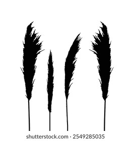 Vector silhouettes of feathery reed plumes, ideal for decorative designs, nature-inspired art, and creative projects.