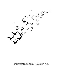 Vector silhouettes: a flock of birds, crows, swans, geese./ Silhouette a flock of birds