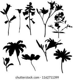 vector silhouettes of flowers, floral elements, hand drawn botanical illustration