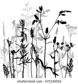 vector silhouettes of flowers and grass, background with wild plants, herbal backdrop, black monochrome floral template, hand drawn illustration