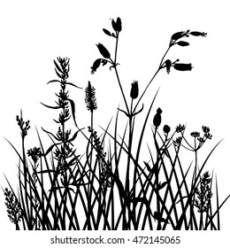 vector silhouettes of flowers and grass, background with wild plants, herbal backdrop, black monochrome floral template, hand drawn illustration