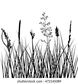 vector silhouettes of flowers and grass, background with wild plants, herbal backdrop, black monochrome floral template, hand drawn illustration