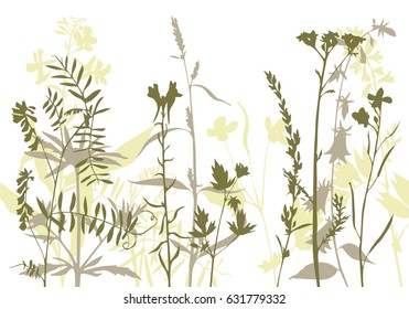 vector silhouettes of flowers and grass, background with wild plants, herbal backdrop, color floral template, hand drawn illustration