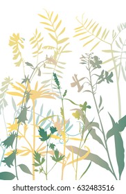 vector silhouettes of flowers and grass, background with wild plants, herbal backdrop, color floral template, hand drawn illustration