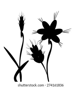 Vector silhouettes of flowers on a white background.