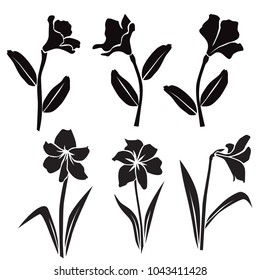 Vector silhouettes of flowers, rhododendron, lily, blossom,  black color isolated on white background