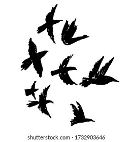 Vector silhouettes of flying birds. Hand drawn contrasting Black and white illustration