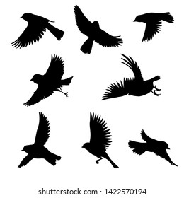 Vector silhouettes of flying birds, sketch of sparrows, hand drawn songbirds, isolated nature design elements